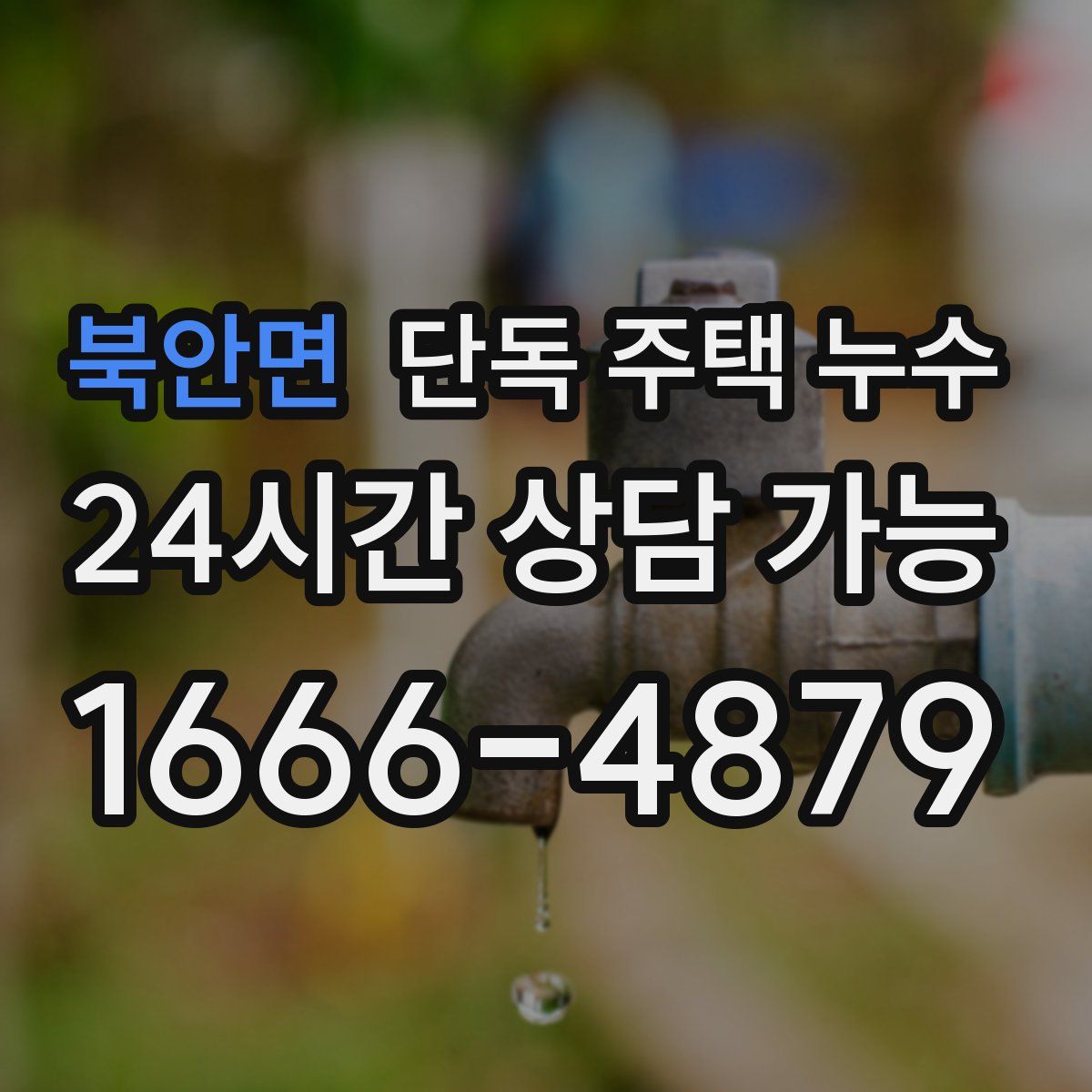 북안면 단독 주택 누수