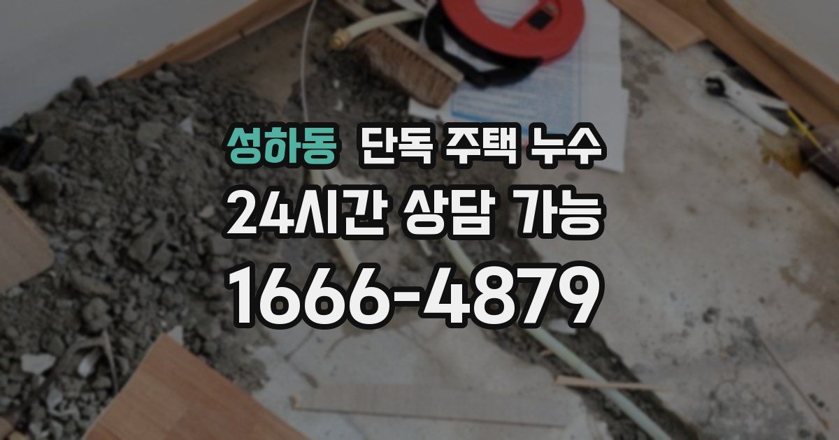 성하동 단독 주택 누수