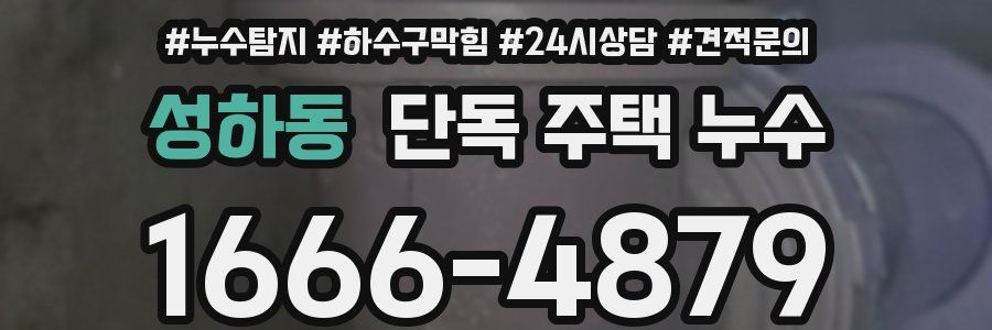 성하동 단독 주택 누수