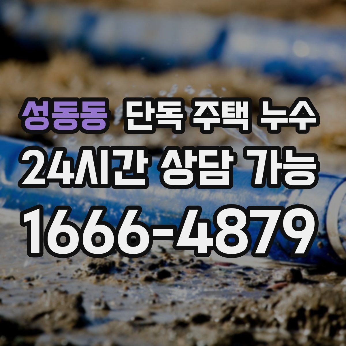 성동동 단독 주택 누수 외벽 쪽 방이 더 축축한 이유