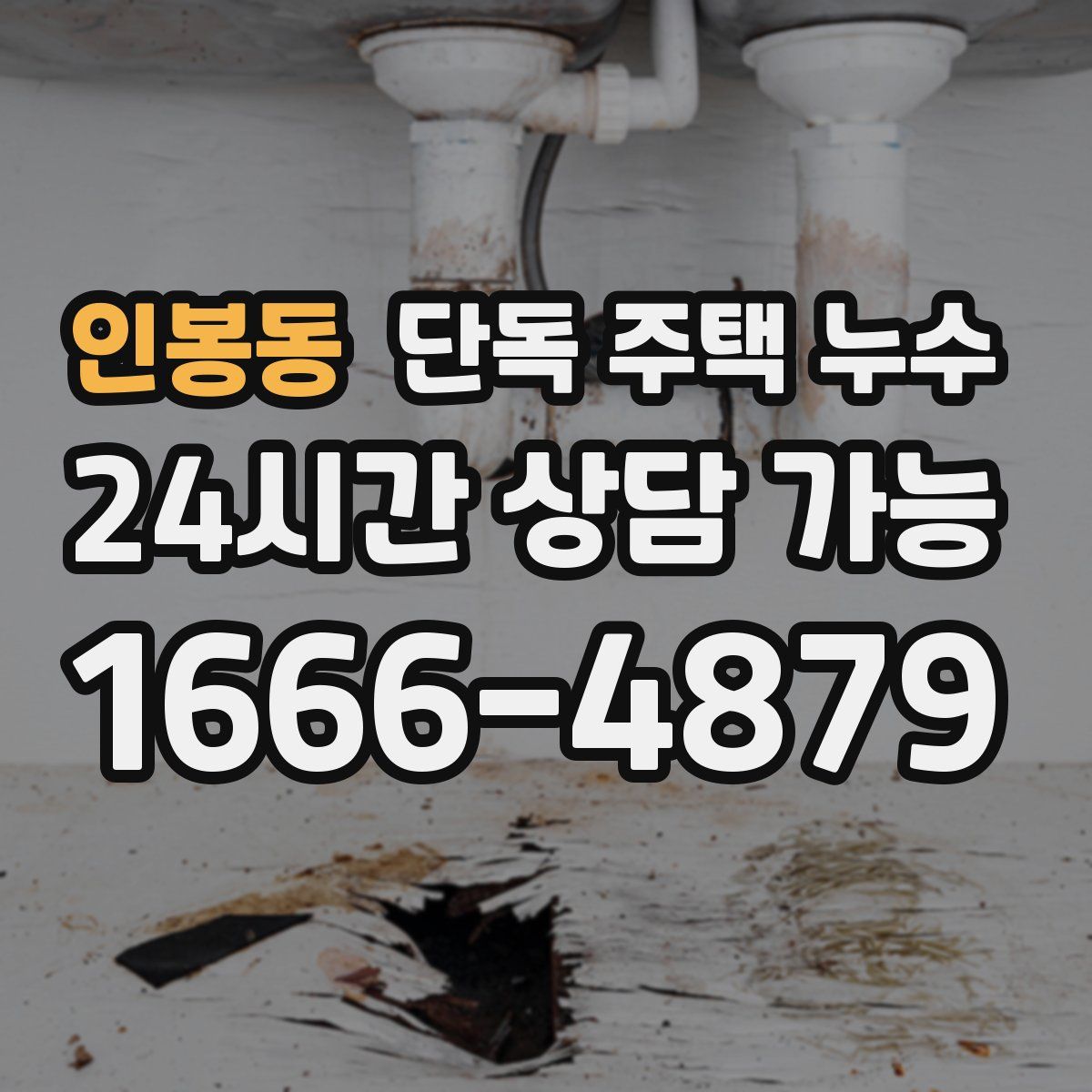 인봉동 단독 주택 누수