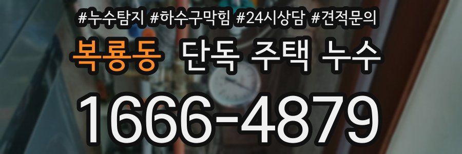 복룡동 단독 주택 누수