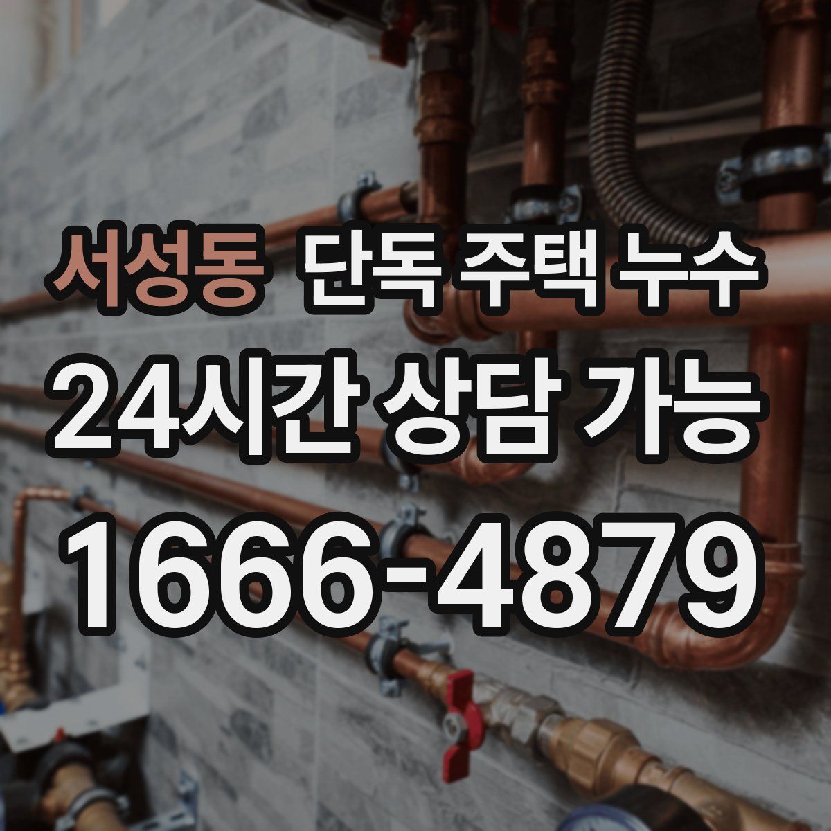 서성동 단독 주택 누수