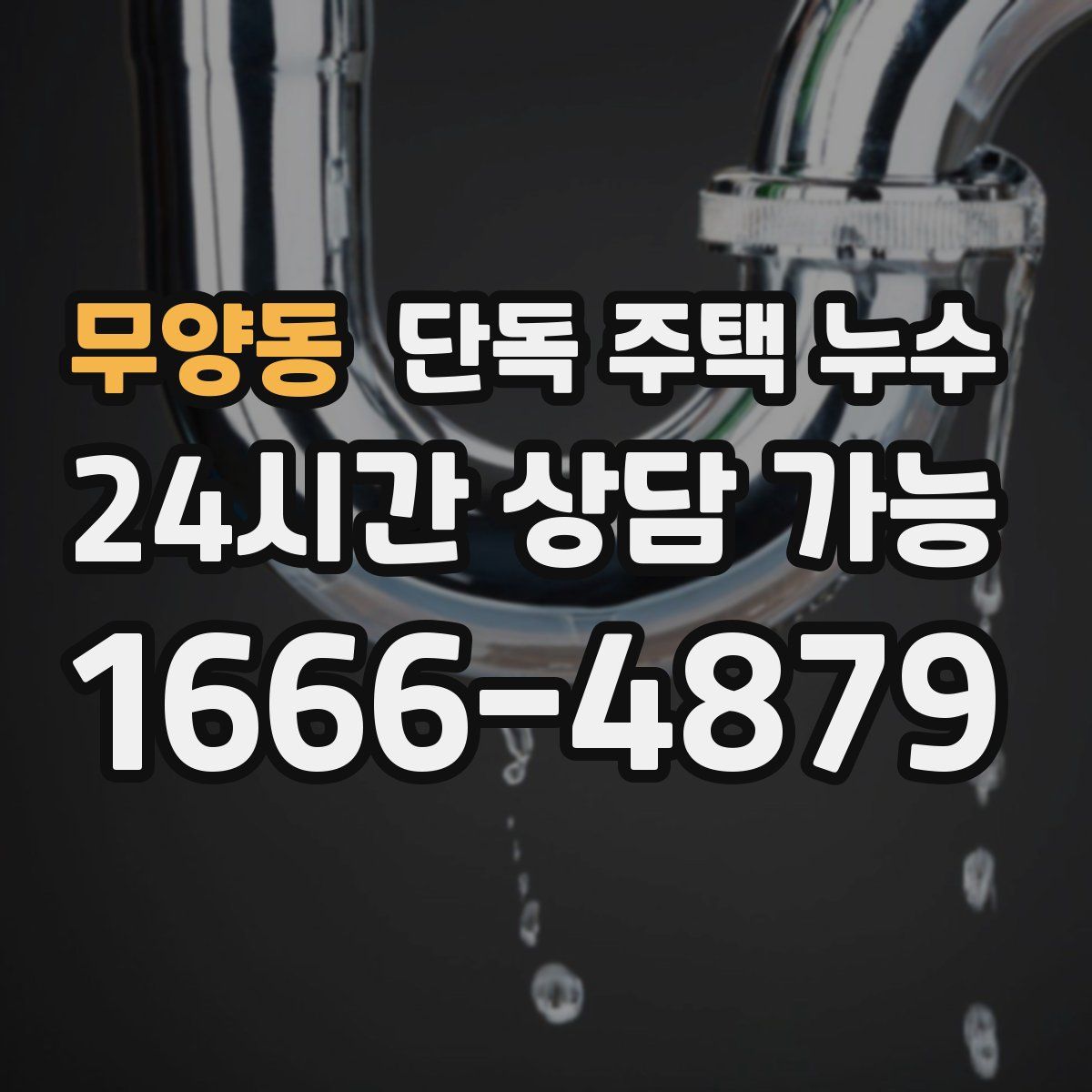 무양동 단독 주택 누수