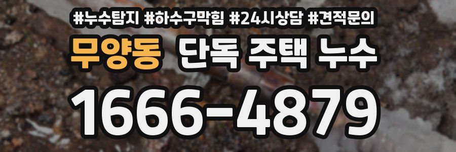 무양동 단독 주택 누수