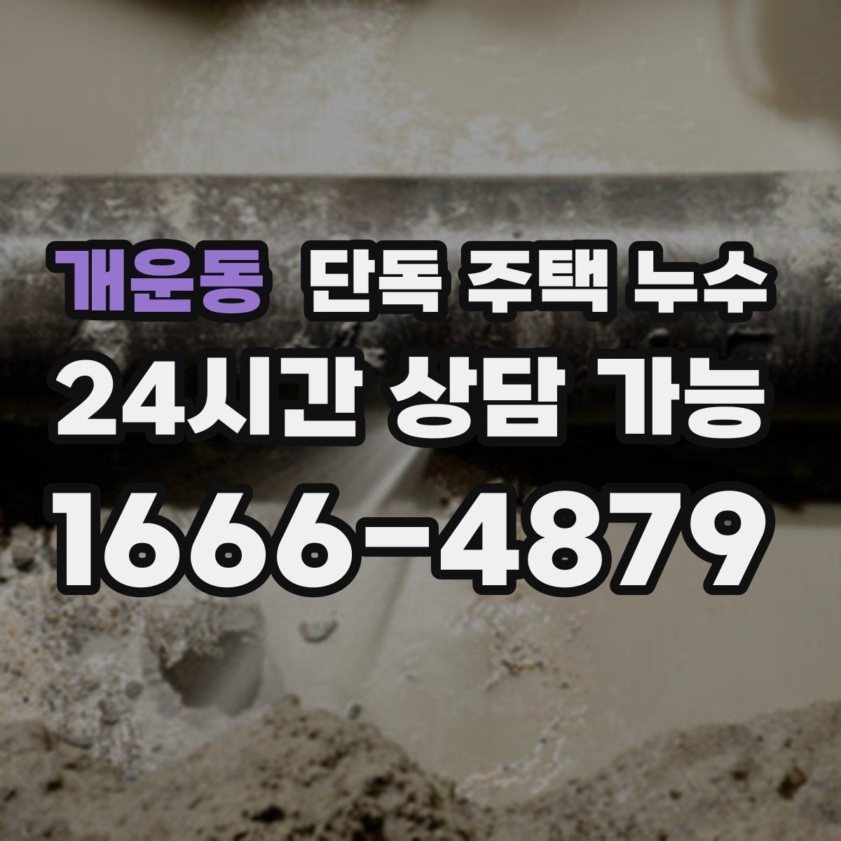 개운동 단독 주택 누수 벽 하단만 젖는다면 배수 문제일까