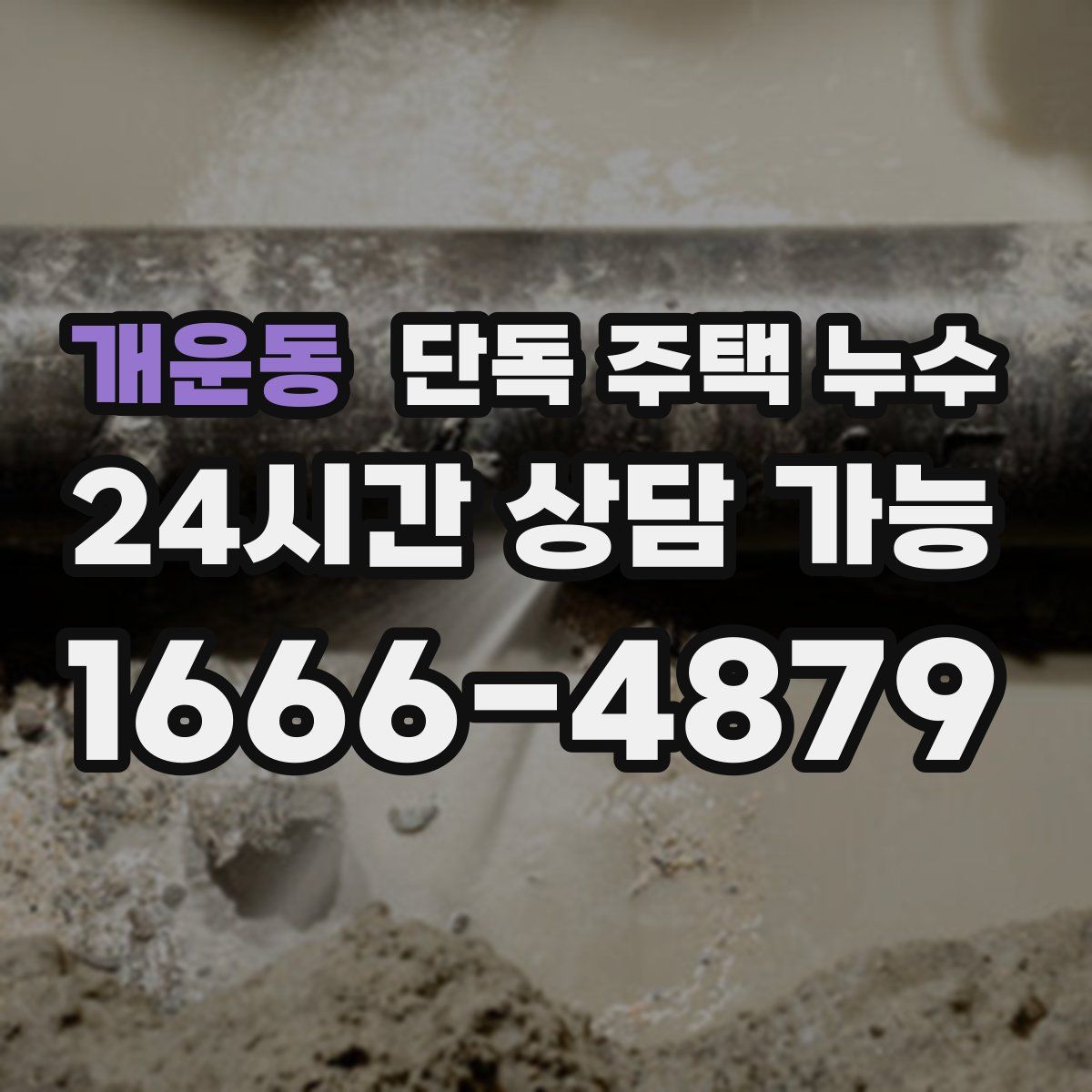 개운동 단독 주택 누수