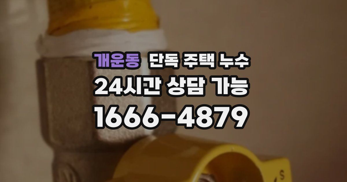 개운동 단독 주택 누수