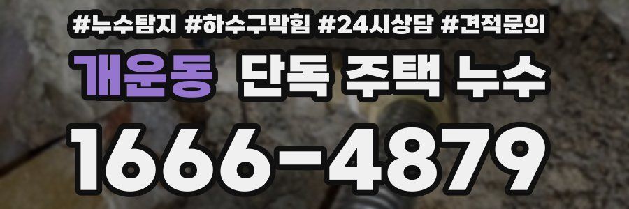 개운동 단독 주택 누수