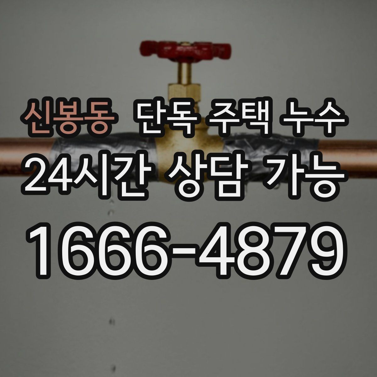 신봉동 단독 주택 누수 기초부 주변이 젖는다면 확인할 점