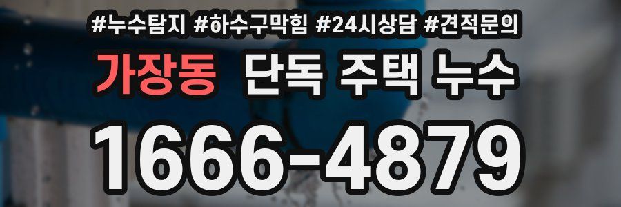 가장동 단독 주택 누수