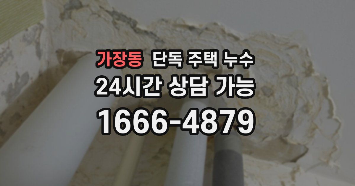 가장동 단독 주택 누수