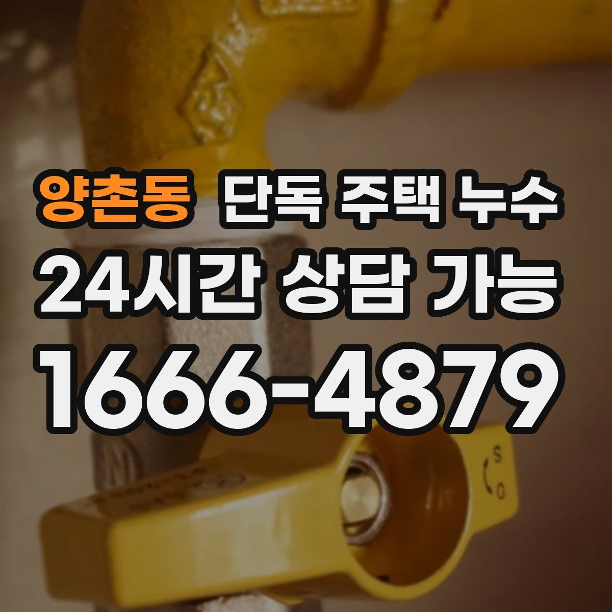 양촌동 단독 주택 누수