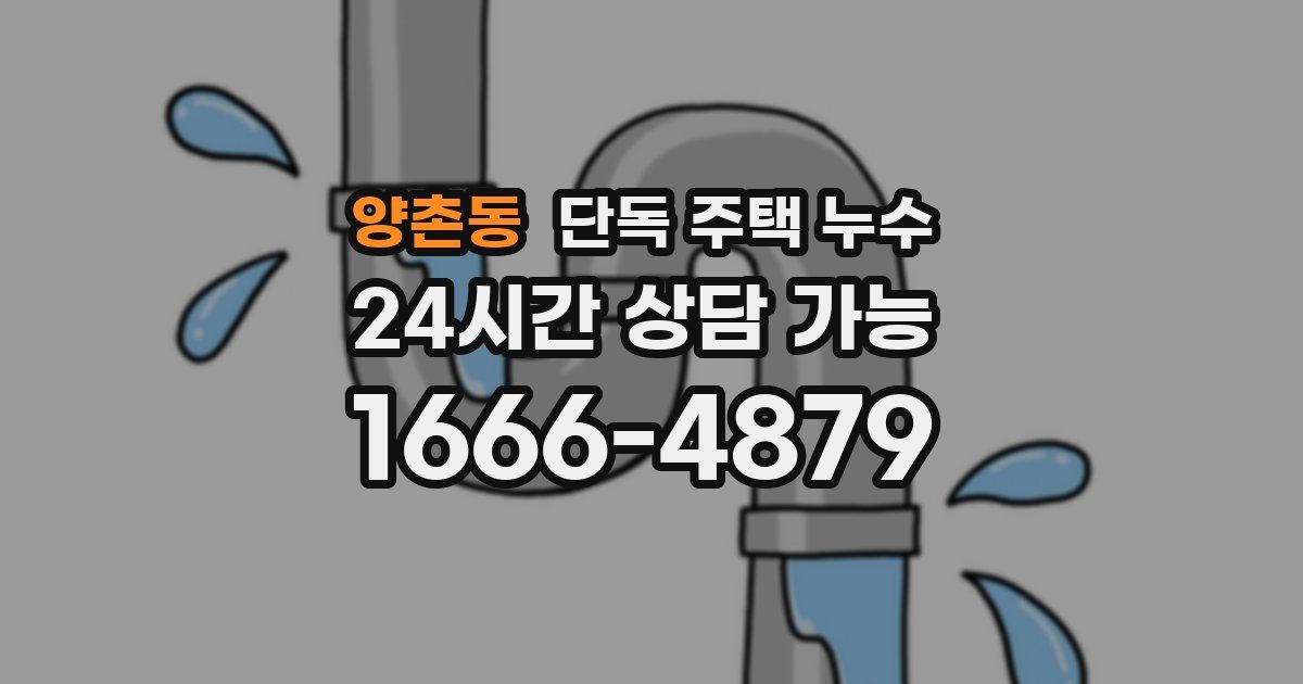 양촌동 단독 주택 누수