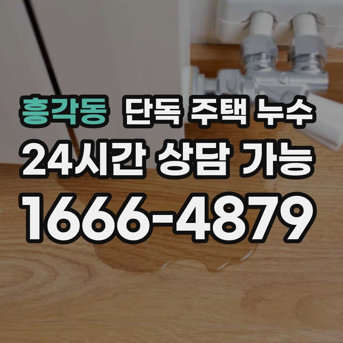 흥각동 단독 주택 누수 분배기 밸브 주변 물자국 원인