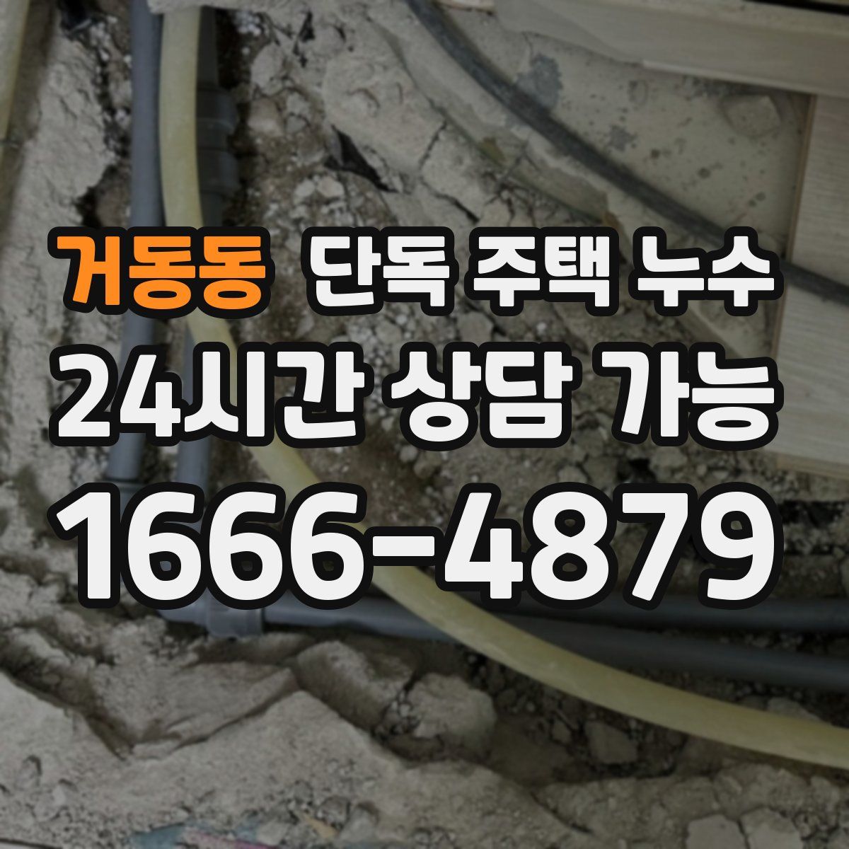 거동동 단독 주택 누수