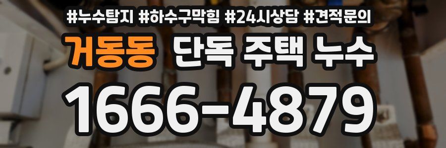 거동동 단독 주택 누수