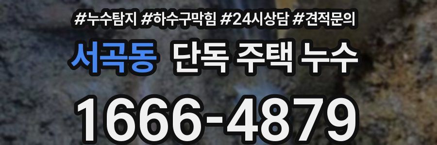 서곡동 단독 주택 누수