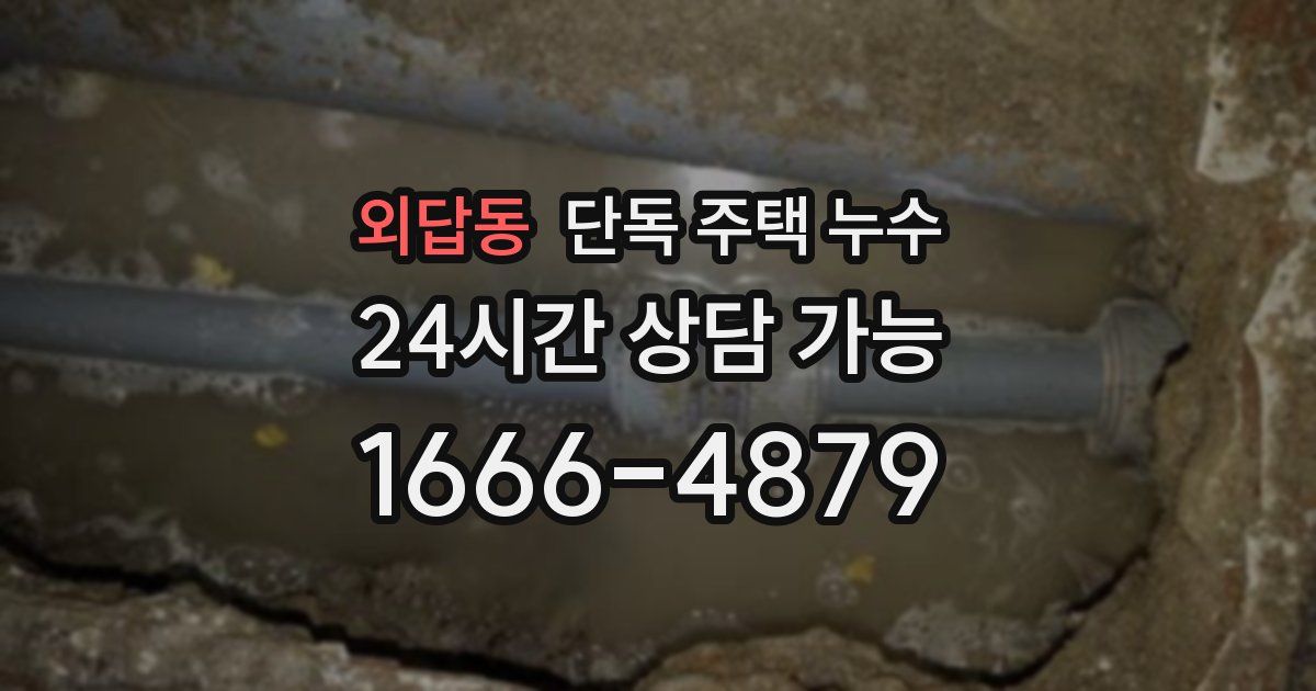 외답동 단독 주택 누수