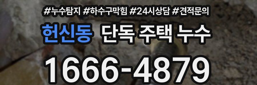 헌신동 단독 주택 누수