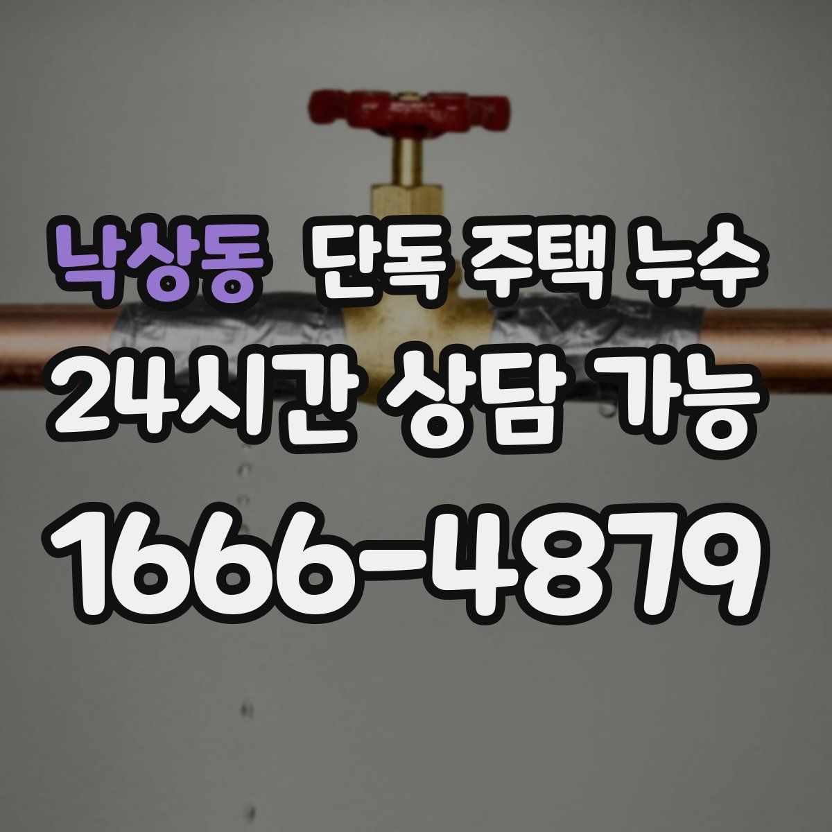 낙상동 단독 주택 누수