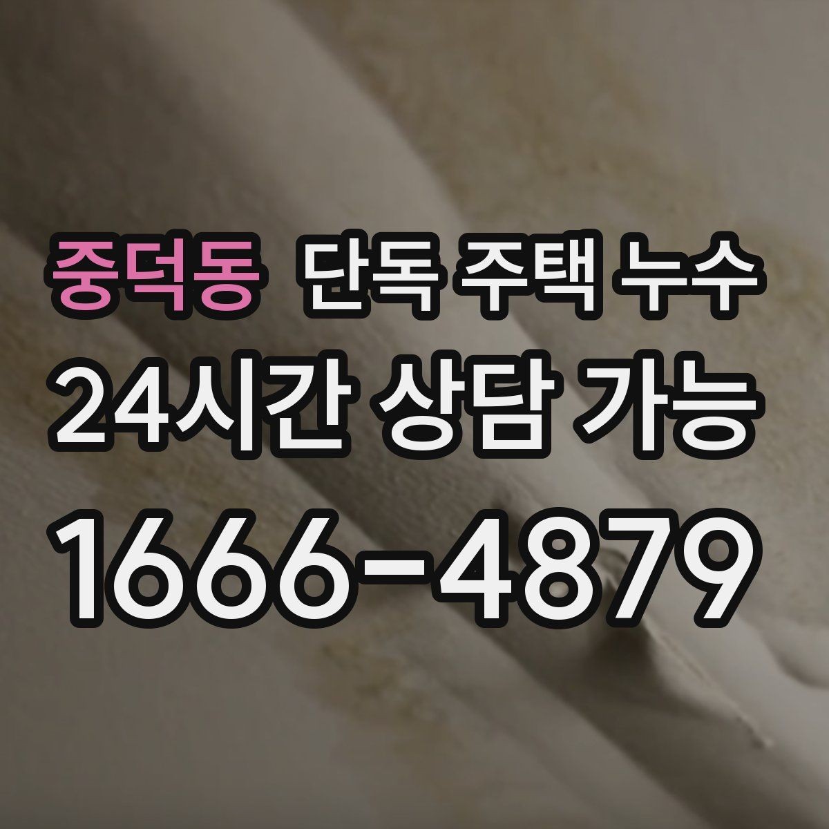 중덕동 단독 주택 누수 욕실 바닥 타일 틈새에서 물이 스며들 때