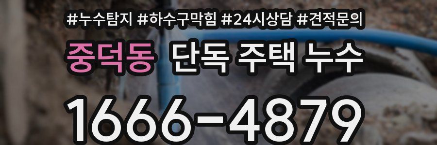 중덕동 단독 주택 누수