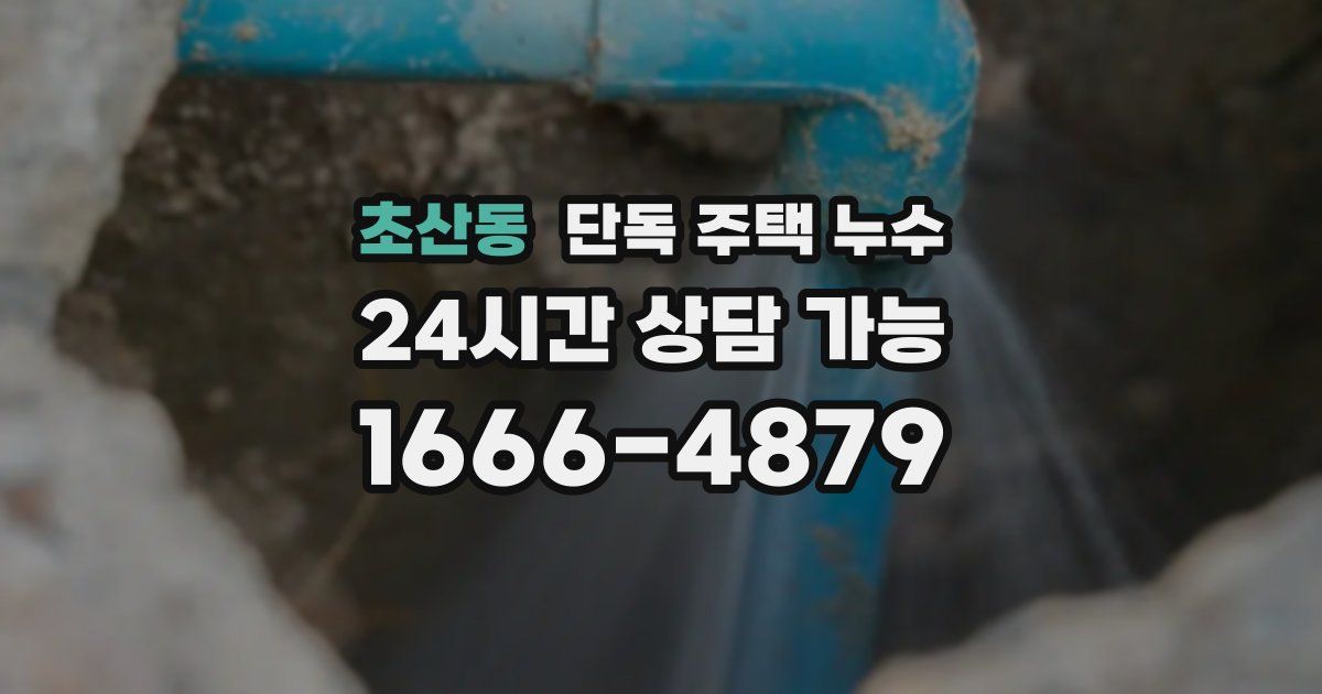 초산동 단독 주택 누수