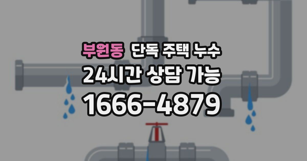 부원동 단독 주택 누수