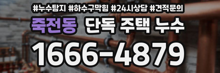 죽전동 단독 주택 누수