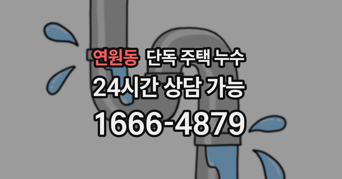 연원동 단독 주택 누수