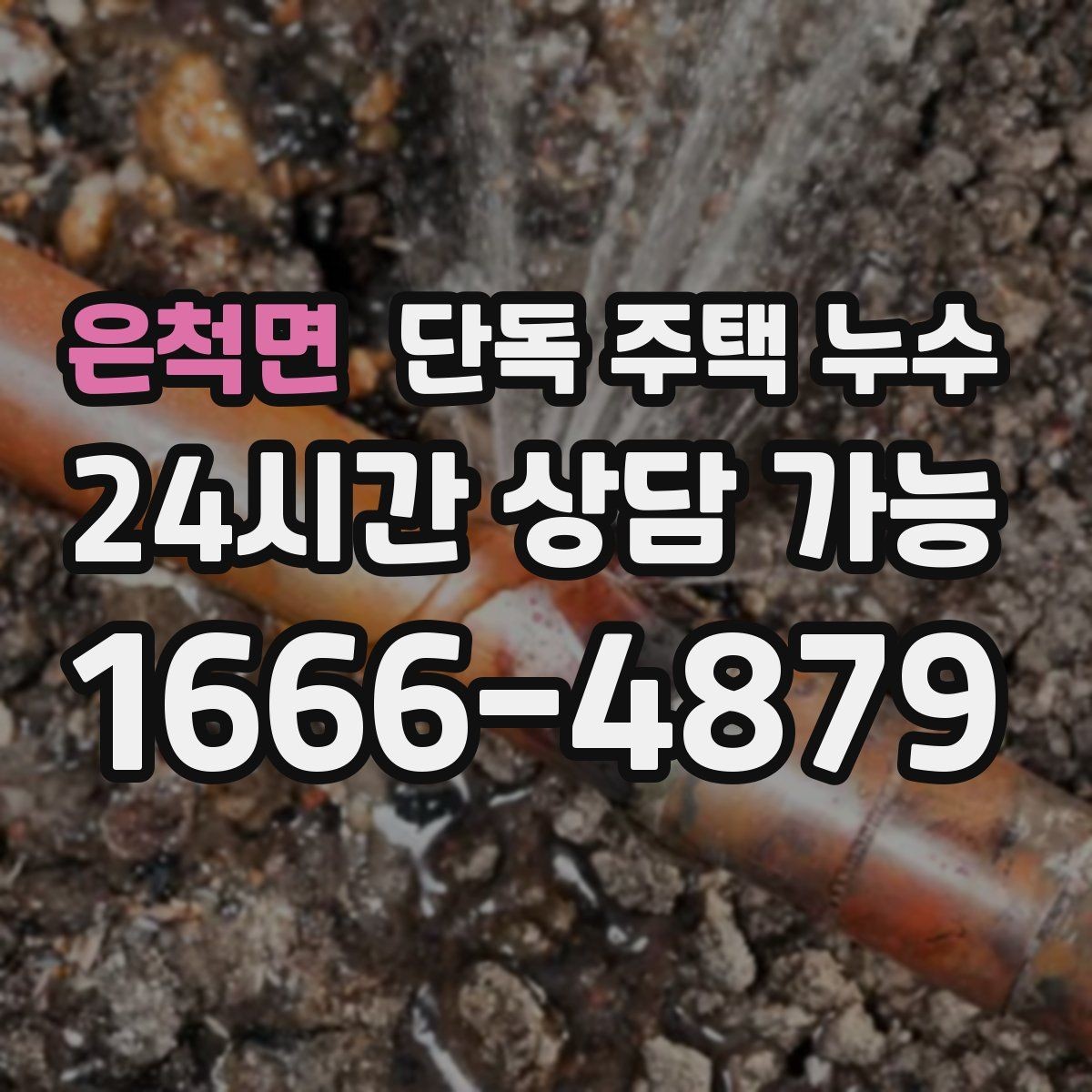 은척면 단독 주택 누수 외벽 페인트가 들뜨면 의심할 것