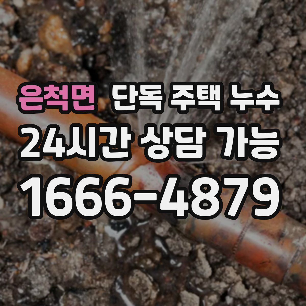 은척면 단독 주택 누수