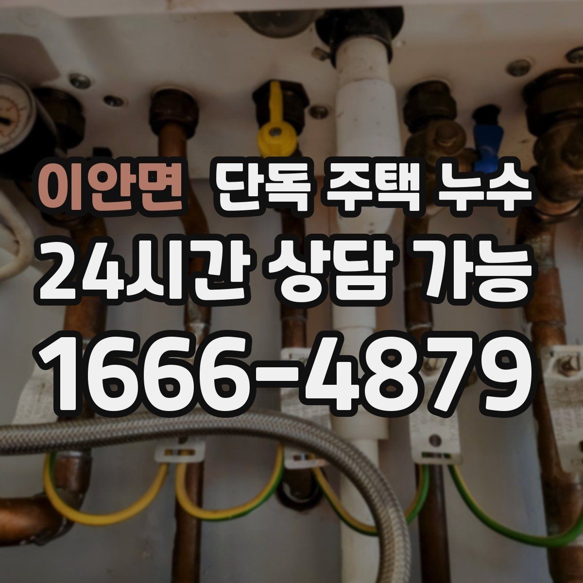 이안면 단독 주택 누수 외벽 페인트가 들뜨면 의심할 것