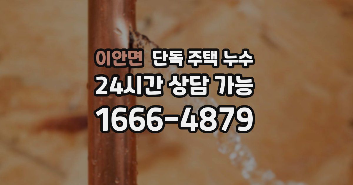 이안면 단독 주택 누수