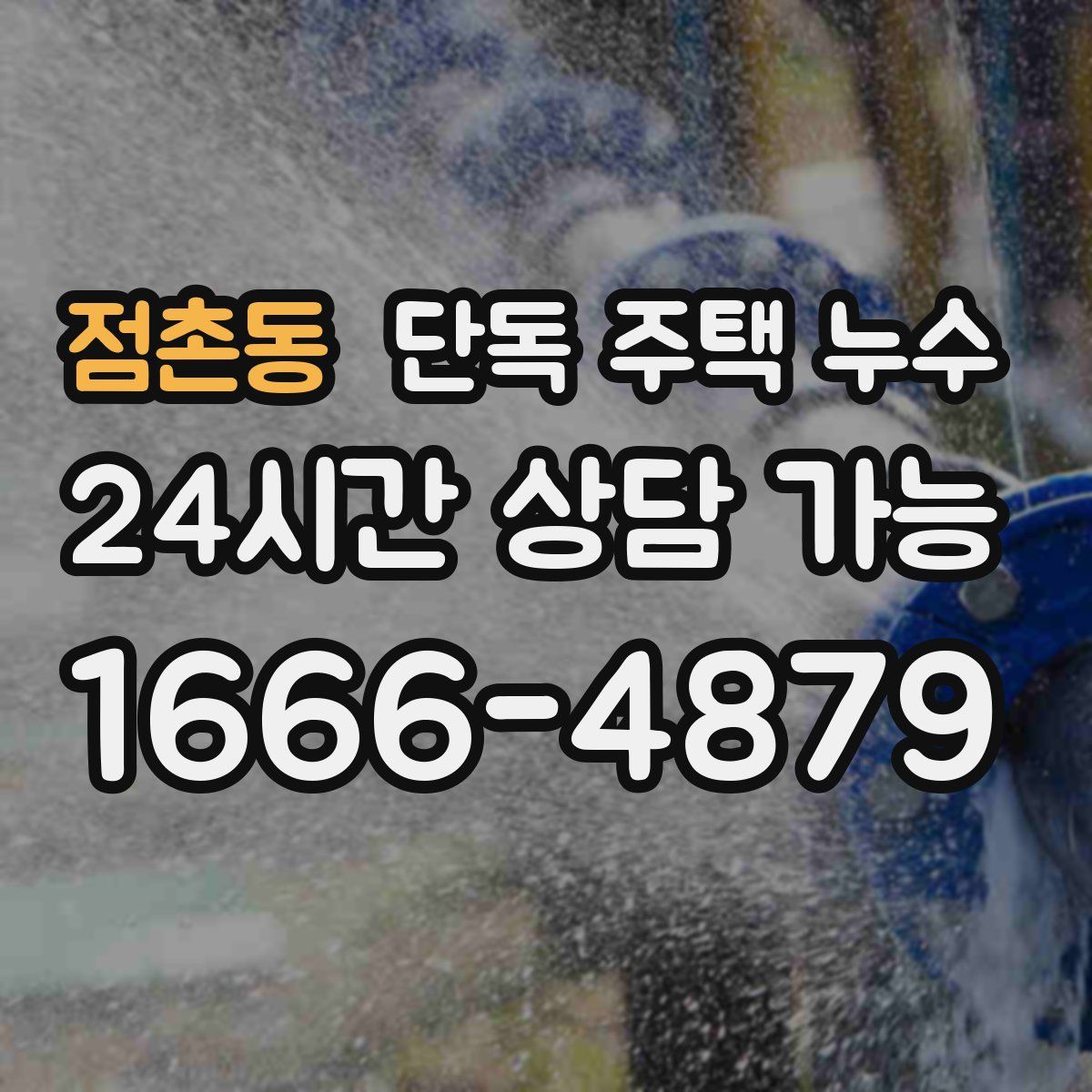 점촌동 단독 주택 누수