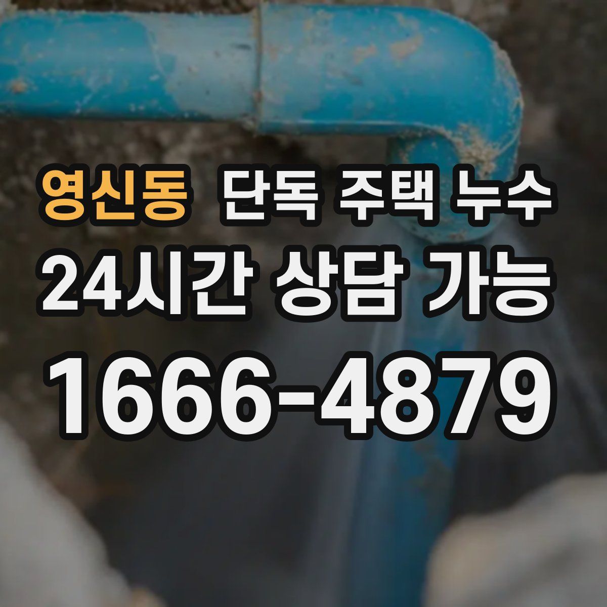 영신동 단독 주택 누수