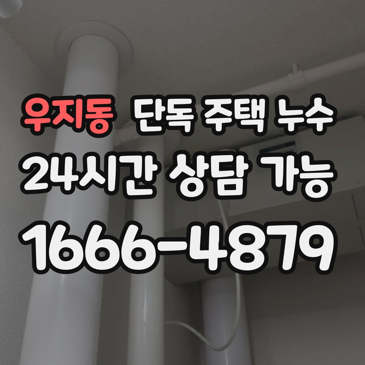 우지동 단독 주택 누수