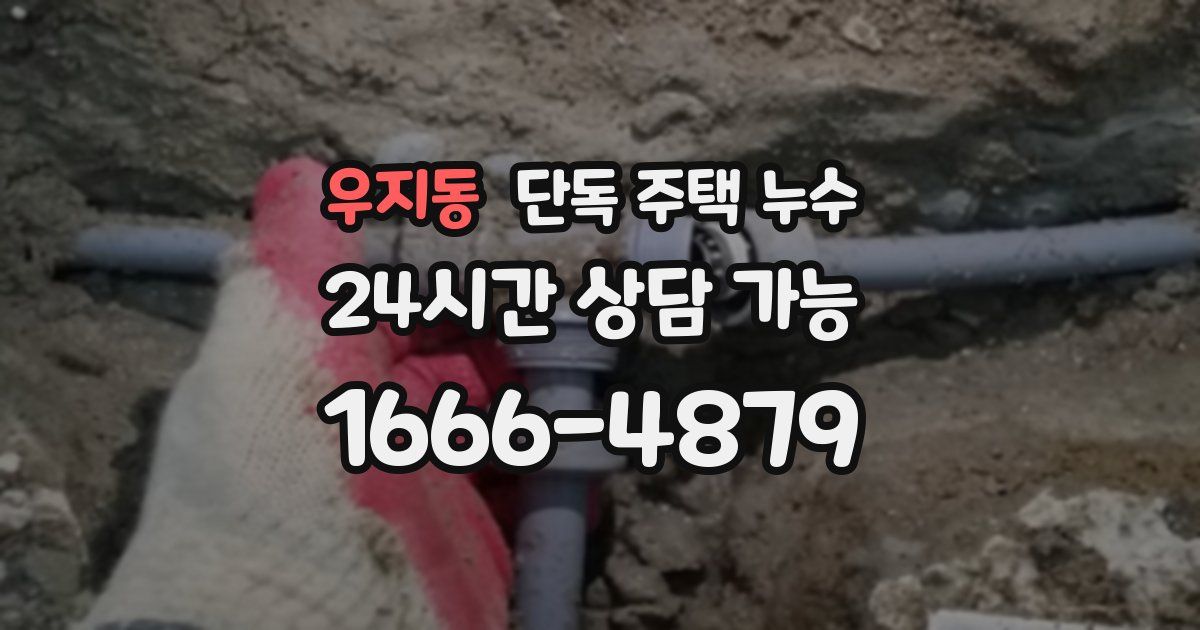 우지동 단독 주택 누수