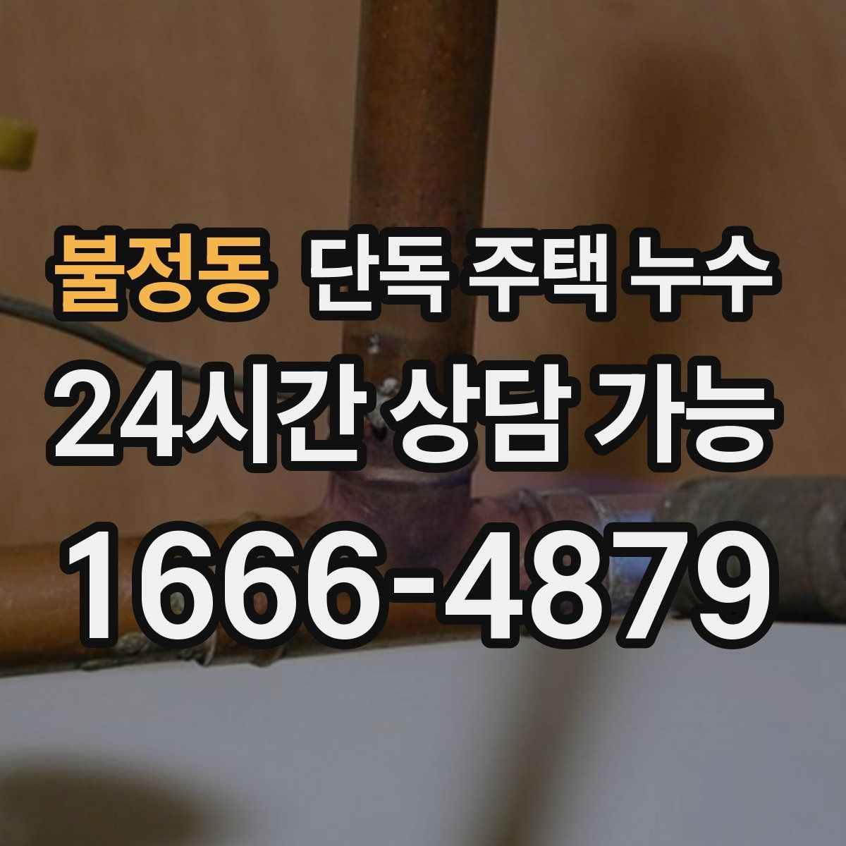 불정동 단독 주택 누수