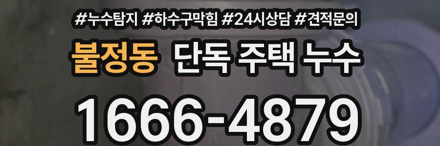 불정동 단독 주택 누수