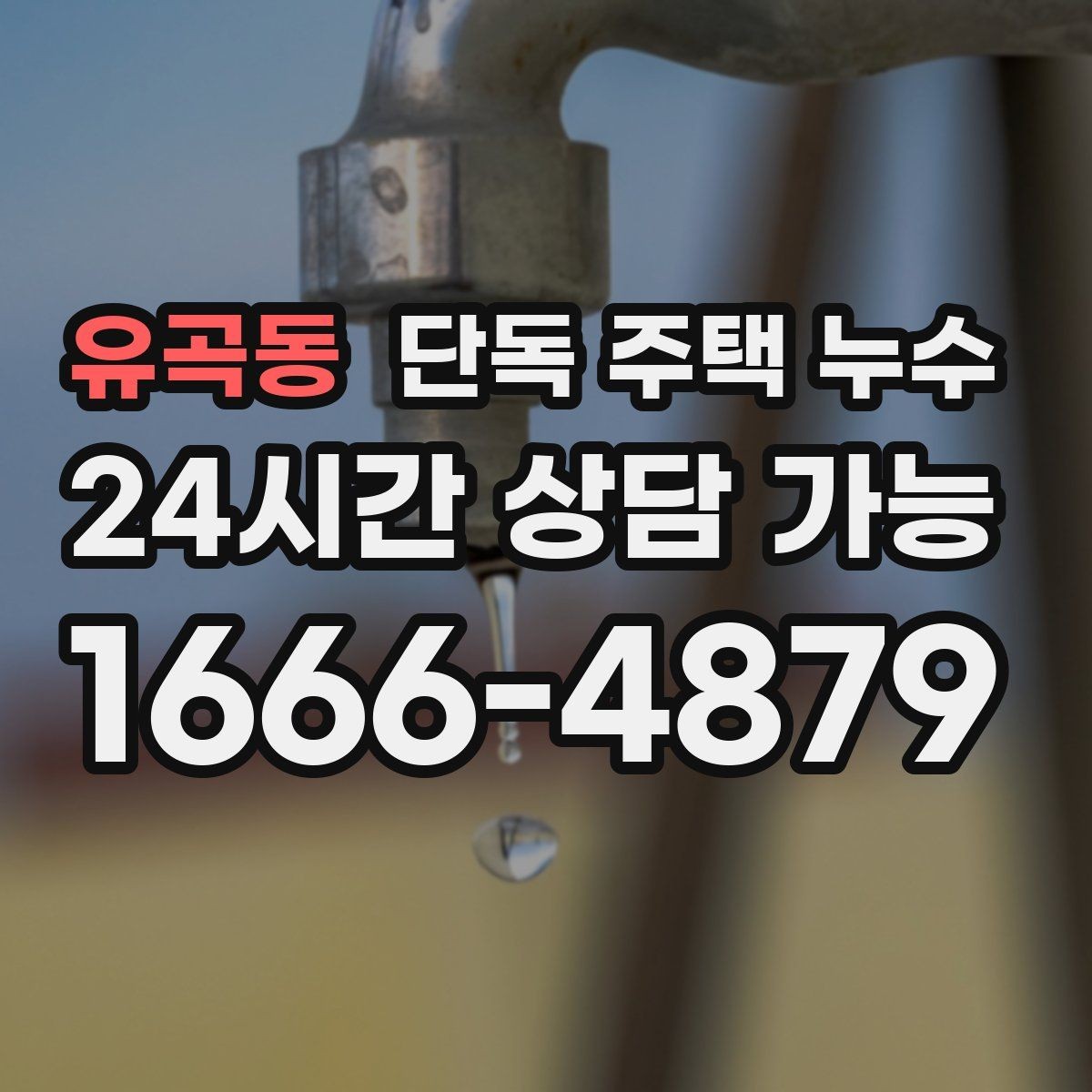 유곡동 단독 주택 누수 욕실 배수구 주변이 계속 젖을 때