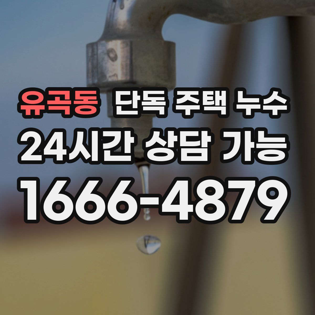 유곡동 단독 주택 누수