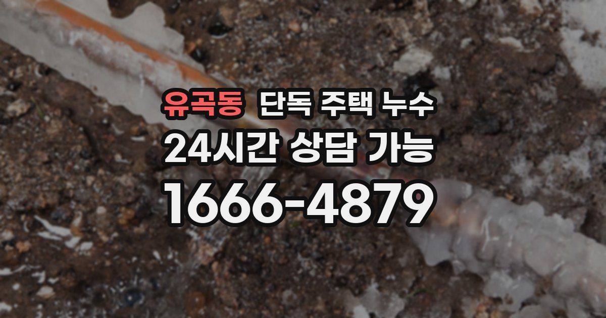 유곡동 단독 주택 누수