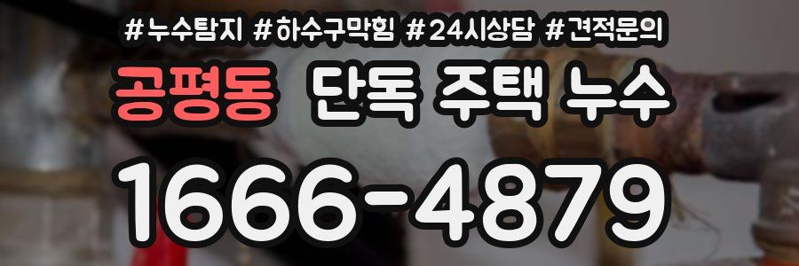 공평동 단독 주택 누수