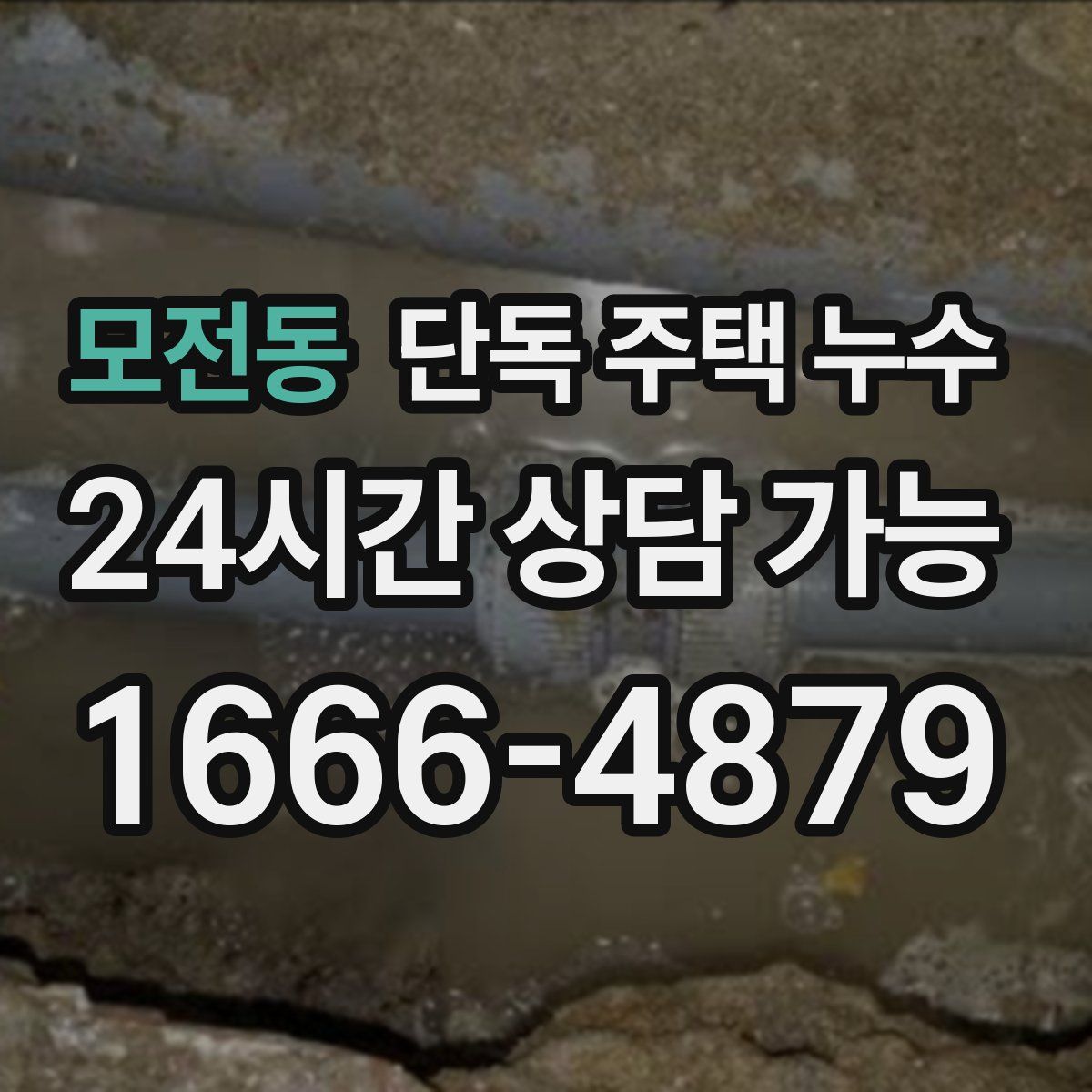 모전동 단독 주택 누수