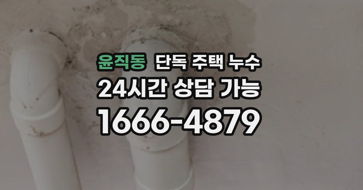 윤직동 단독 주택 누수