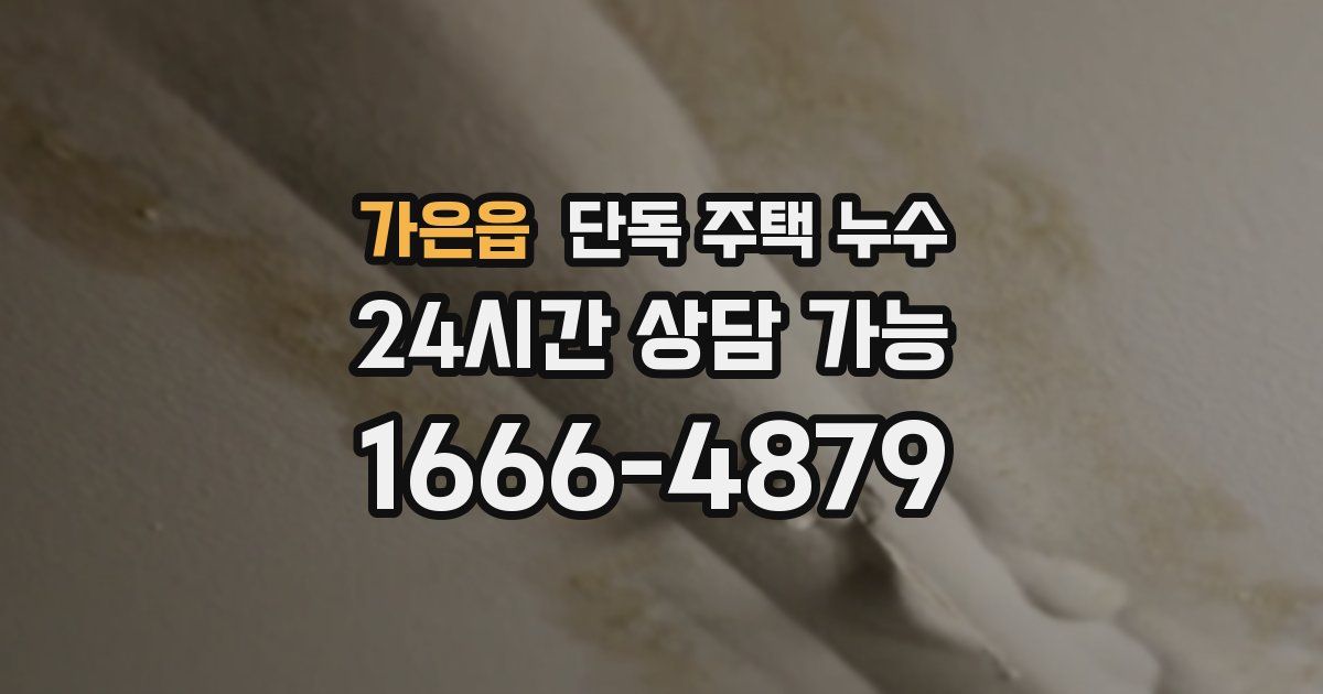 가은읍 단독 주택 누수