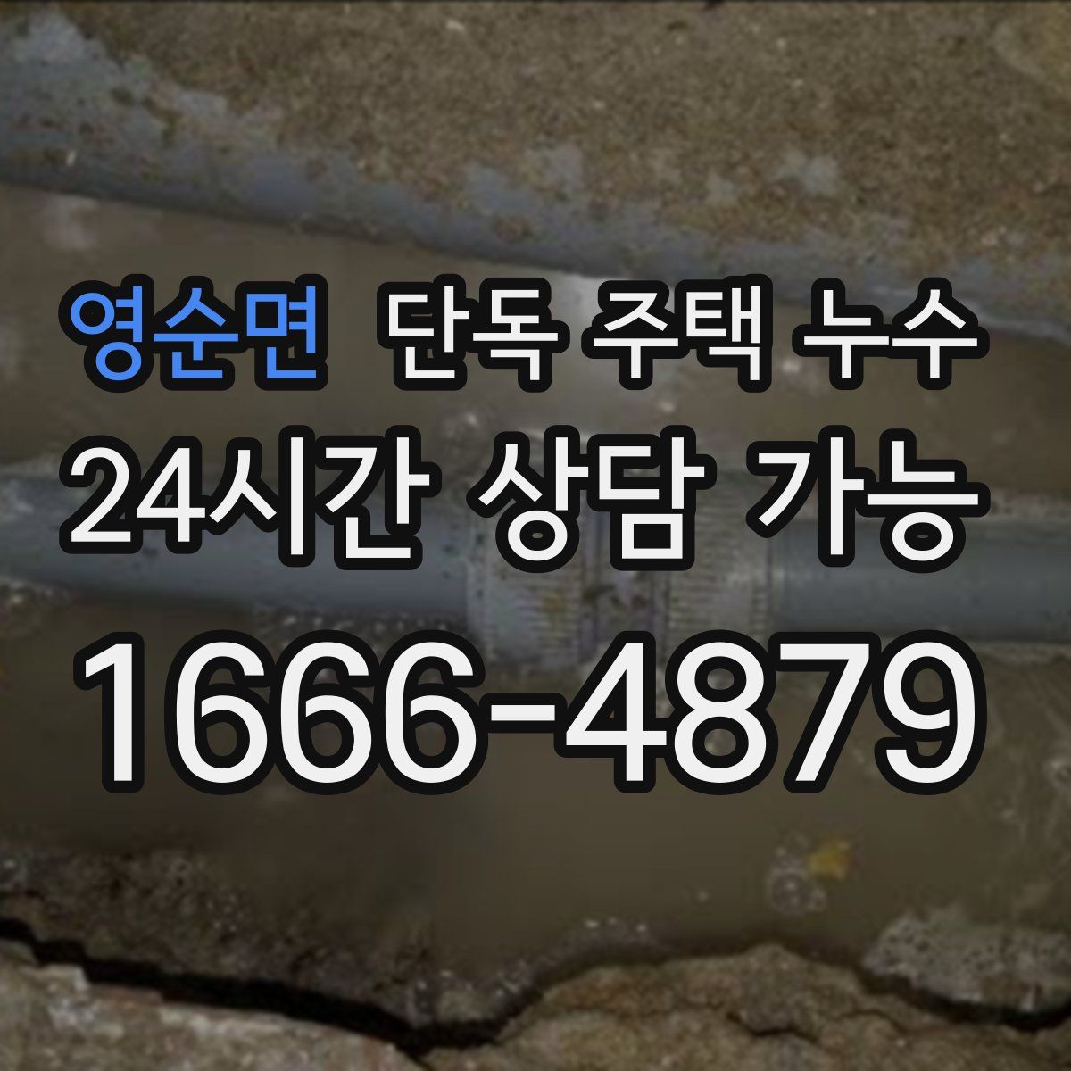 영순면 단독 주택 누수