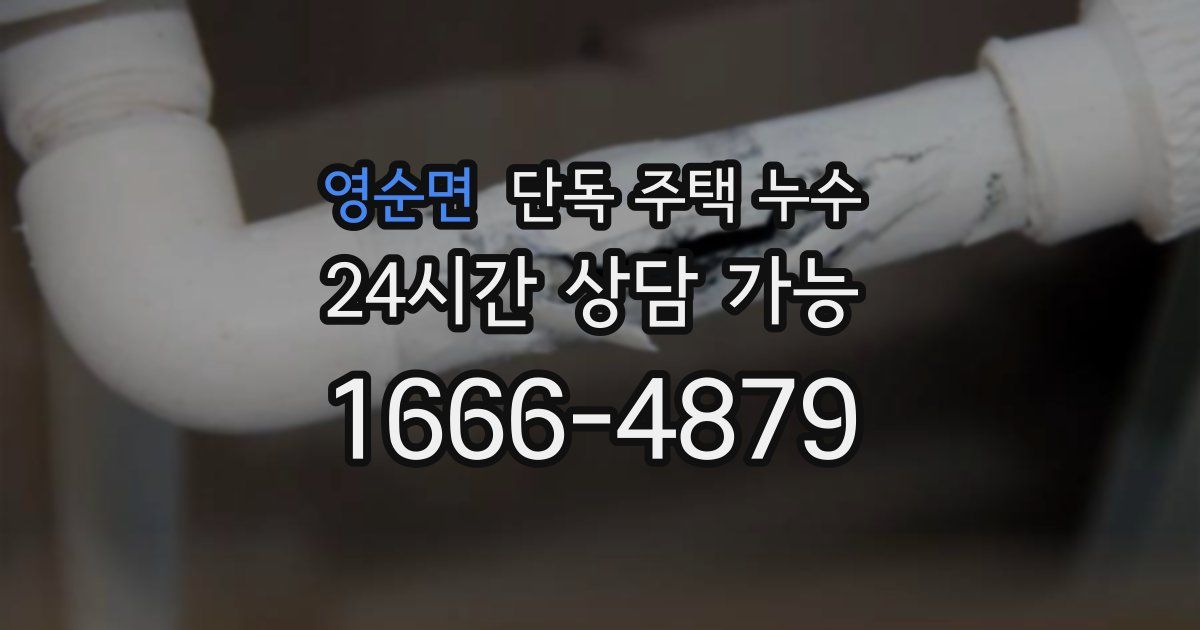 영순면 단독 주택 누수